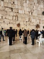 IMG 20221122 170453 1