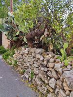 IMG 20221123 125851 1