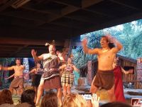 Der traditionelle Haka