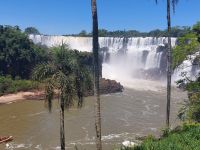 Iguazu