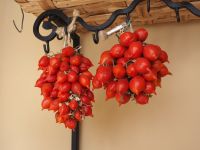 die typischen kleinen Tomaten, PA260131.JPG