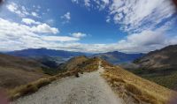 Ben Lomond Track