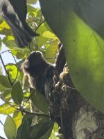 Brasilien - Rio de Janeiro
