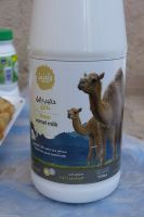 Picknick im Al Hazm Fort