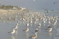 ...die bekommen auch etwas ab