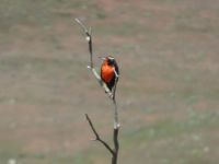 Chile - Torres del Paine