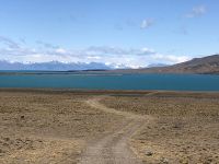 Calafate 