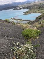 Torres del Paine 