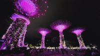 Rundreise Neuseeland - Supertrees in Singapur