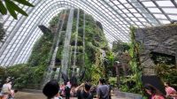 Rundreise Neuseeland - Cloud Forest Dome im Gardens by the Bay in Singapur