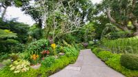 Rundreise Neuseeland - Botanischer Garten in Singapur