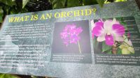 Rundreise Neuseeland - Botanischer Garten in Singapur