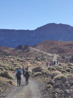 Wanderung im Teide National Park