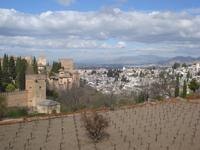 Blick zur Stadtmauer der Alhambra