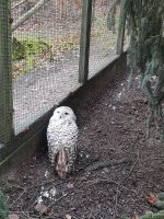 Wildpark Gersfeld