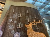 Dubai - Wasserfall in der Dubai Mall