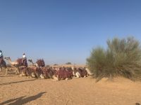 Wüstentour im Landrover