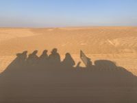 Wüstentour im Landrover