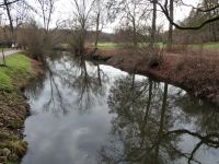 Spiegelungen auf der Ilm