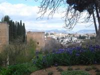 Blick zur Stadtmauer der Alhambra und der Stadt