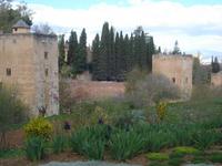 Blick zur Stadtmauer von Generalife