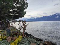 Genfer See