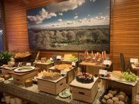 Silvesterfeier in Festival-City mit Skyline-Blick