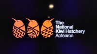 Rundreise Neuseeland - Kiwi-Hatchery in Rotorua