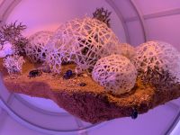 Besuch im Museum of the Future - Dubai im Jahr 2071