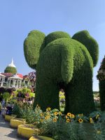 Dubai Miracle Gardens