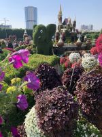 Dubai Miracle Gardens