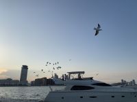 Yacht-Tour in der Dubai Marina