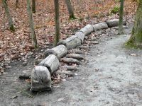 ein Tausendfüßler aus Holz