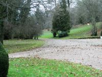 stürmischer Wintertag im Park