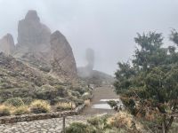 Doch auf 2.600 Metern liegt alles in den Wolken