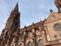 3. Reisetag – Stadtführung in Freiburg – Münster
