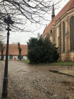 Rostock Kloster zum Heiligen Kreuz