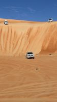 Wüstensafari 