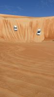 Wüstensafari 