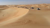 Wüstensafari 