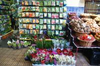 14 Markthalle in Funchal