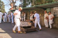 32 Korbschlittenfahrer