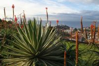 110 Blick vom Pico dos Barcelos