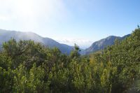 153 Blick auf Südseite der Insel 