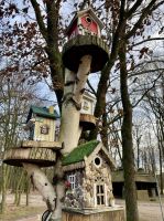 Tag 4 - Vogelhotel im Heidegarten 