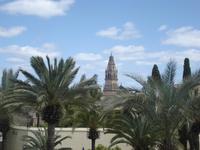 Cordoba - Blick zum Turm der Kathedrale
