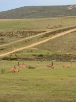 Pirschfahrt Ausblick
