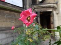 Tag 1 29.12.2022 Paris Silvesterreise 