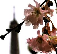 Silvesterreise 2022/23  Au revoir à Paris au printemps