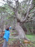 Nadia erklärt uns die Flora und Fauna